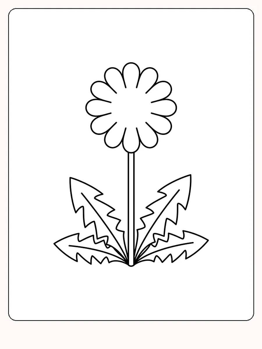 Løvetannblomst med rundt blomsterhode, lang rett stilk og fire taggete blader ved roten på hvit bakgrunn