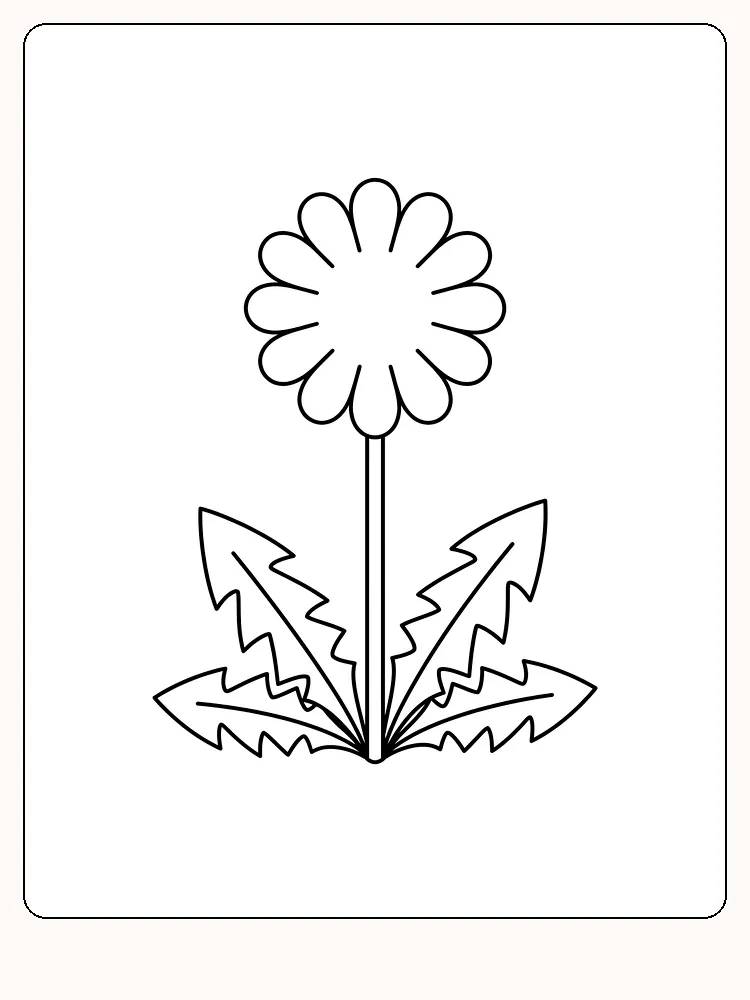 Løvetannblomst med rundt blomsterhode, lang rett stilk og fire taggete blader ved roten på hvit bakgrunn