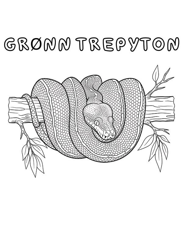 Grøn træpython på grenen, underkategori
