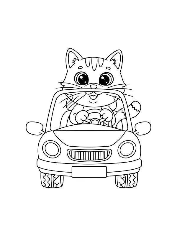 Katt som kjører bil, underkategori
