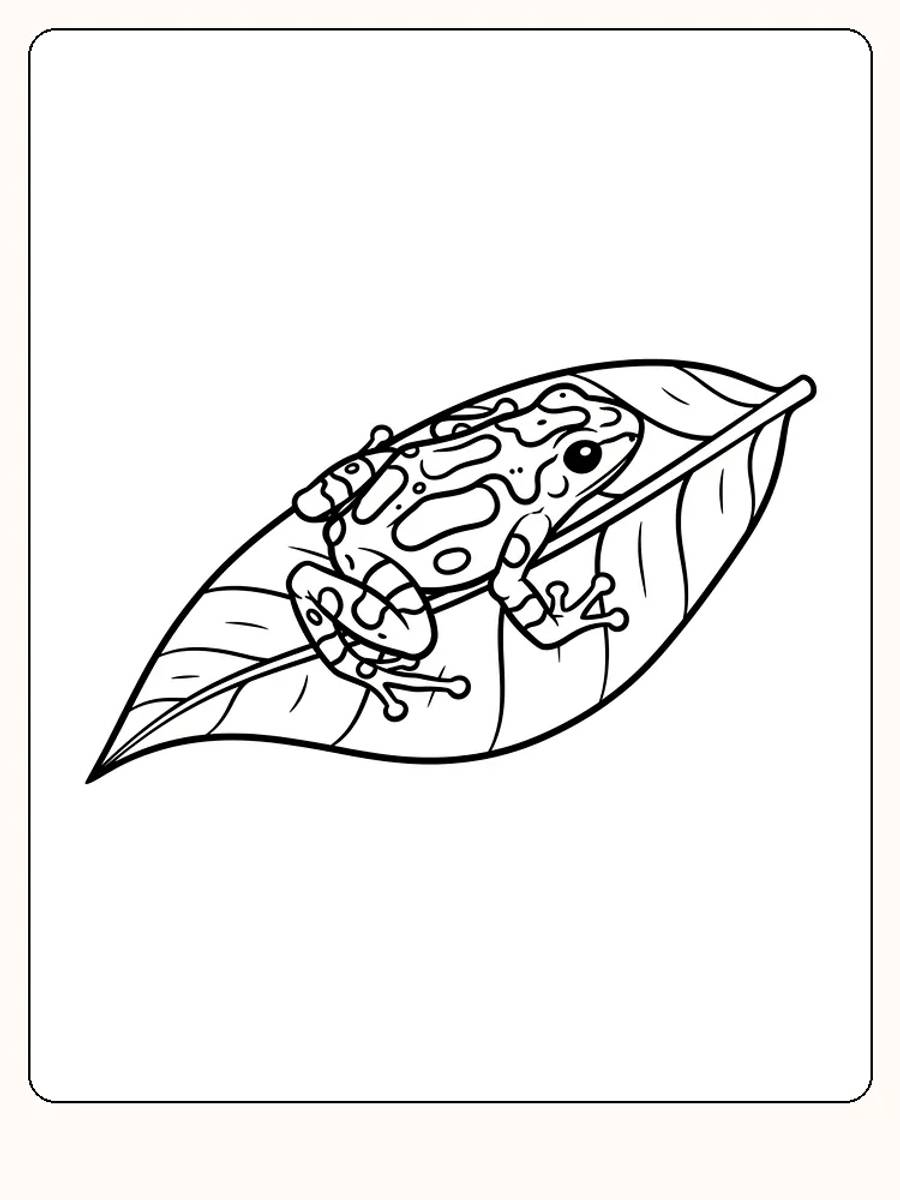Tegning af en frø, der sidder på et blad, klar til download og farvelægning