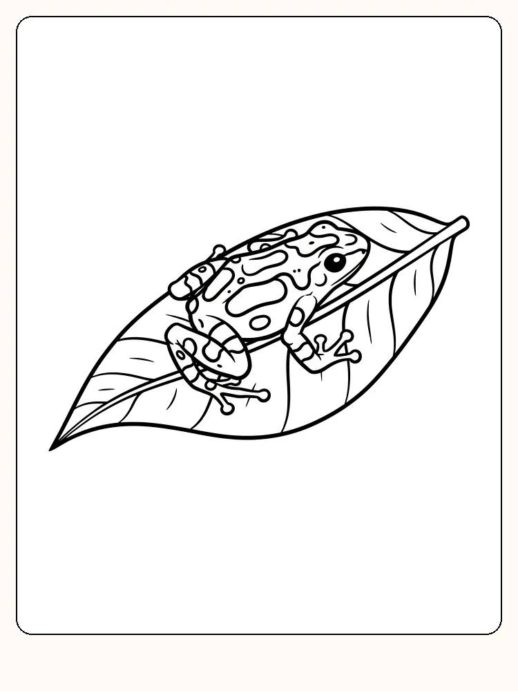 Tegning af en frø, der sidder på et blad, klar til download og farvelægning