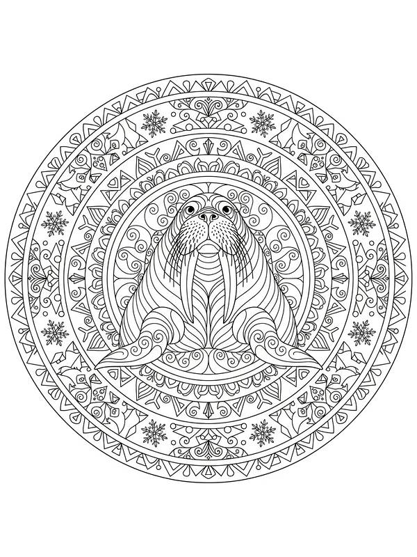 Hvalross i detaljert mandala