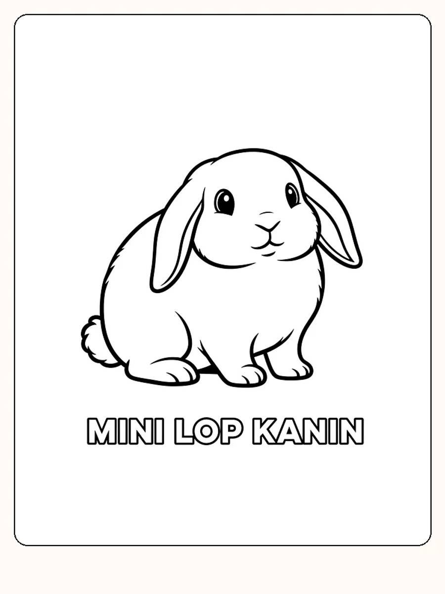 Fargeleggingsbilde av en sittende Mini Lop kanin, klar til å fargelegges