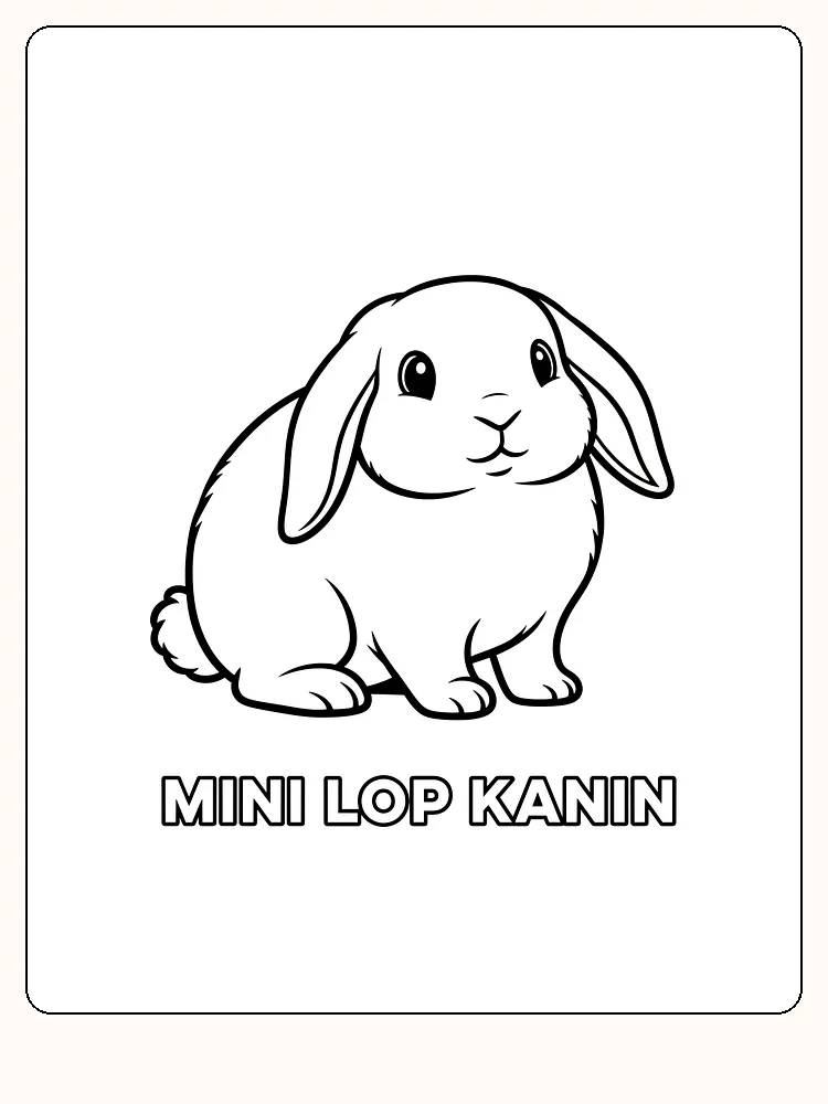 Fargeleggingsbilde av en sittende Mini Lop kanin, klar til å fargelegges