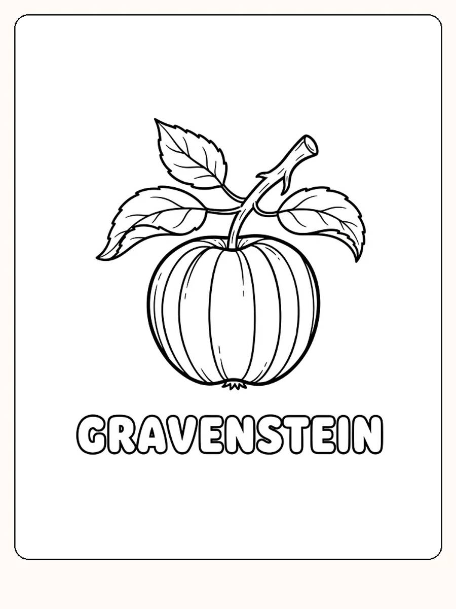 Tegning af et Gravensteiner-æble med blade til farvelægning, klar til print