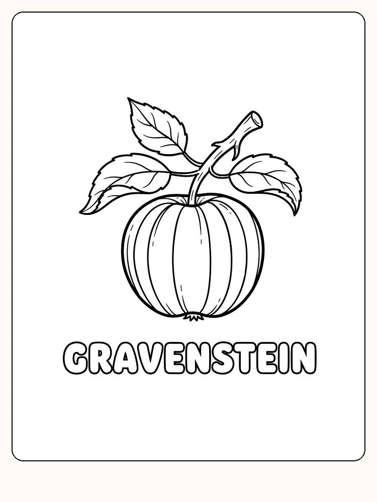 Tegning af et Gravensteiner-æble med blade til farvelægning, klar til print