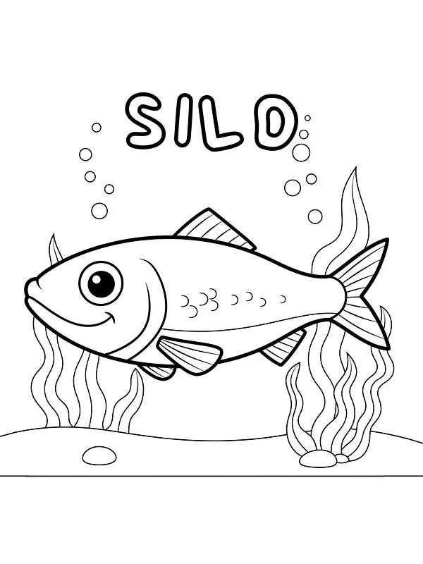 Sild i undervannsmiljø