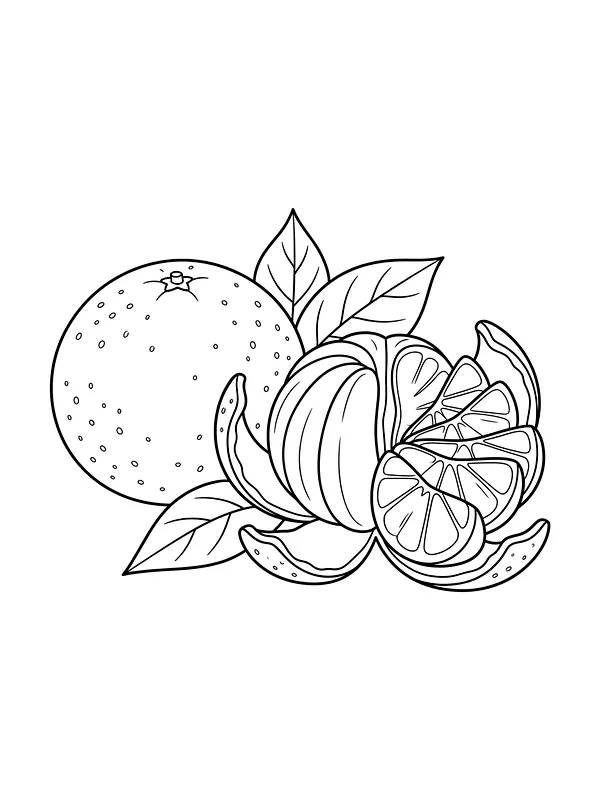 Frukt: appelsin og appelsinbåter i vifte
