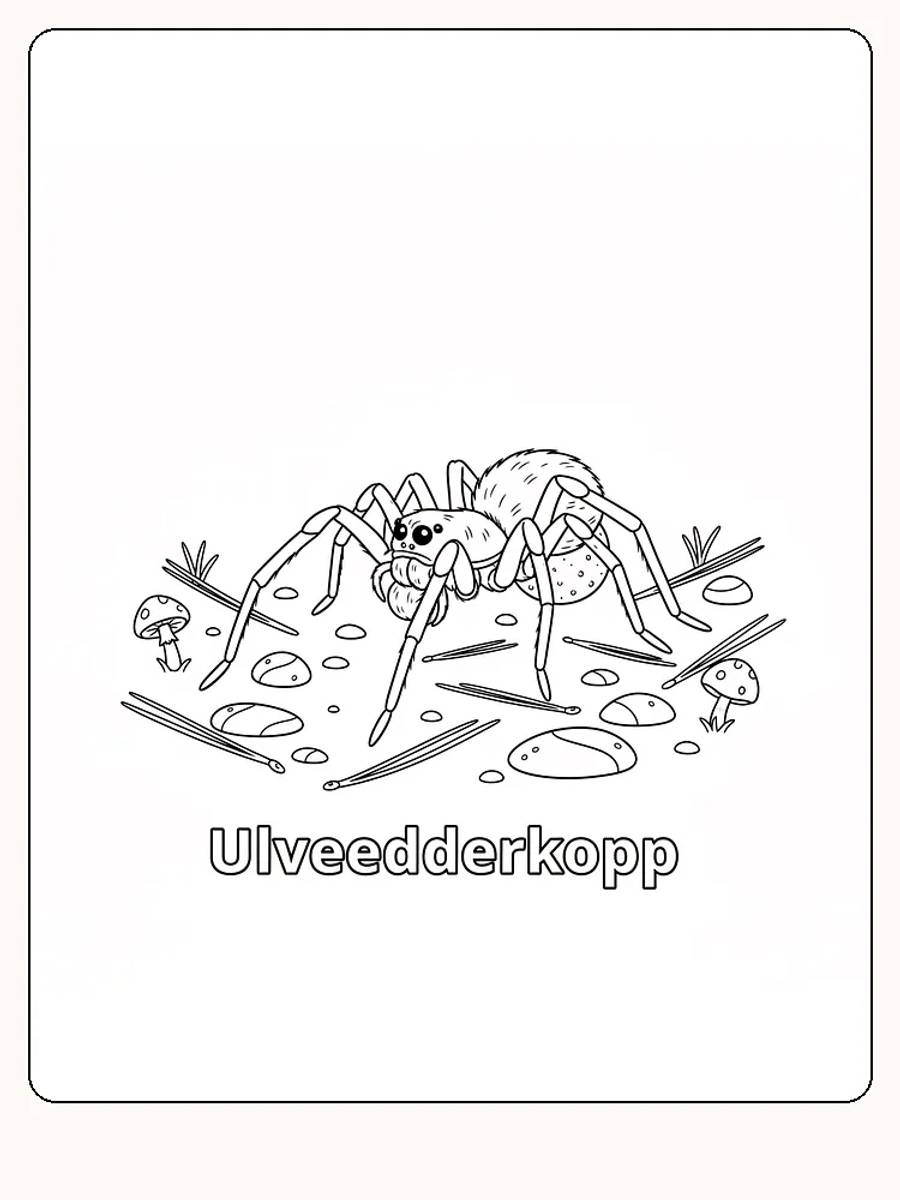Tegning af ulveedderkop til farvelægning med detaljerede omgivelser