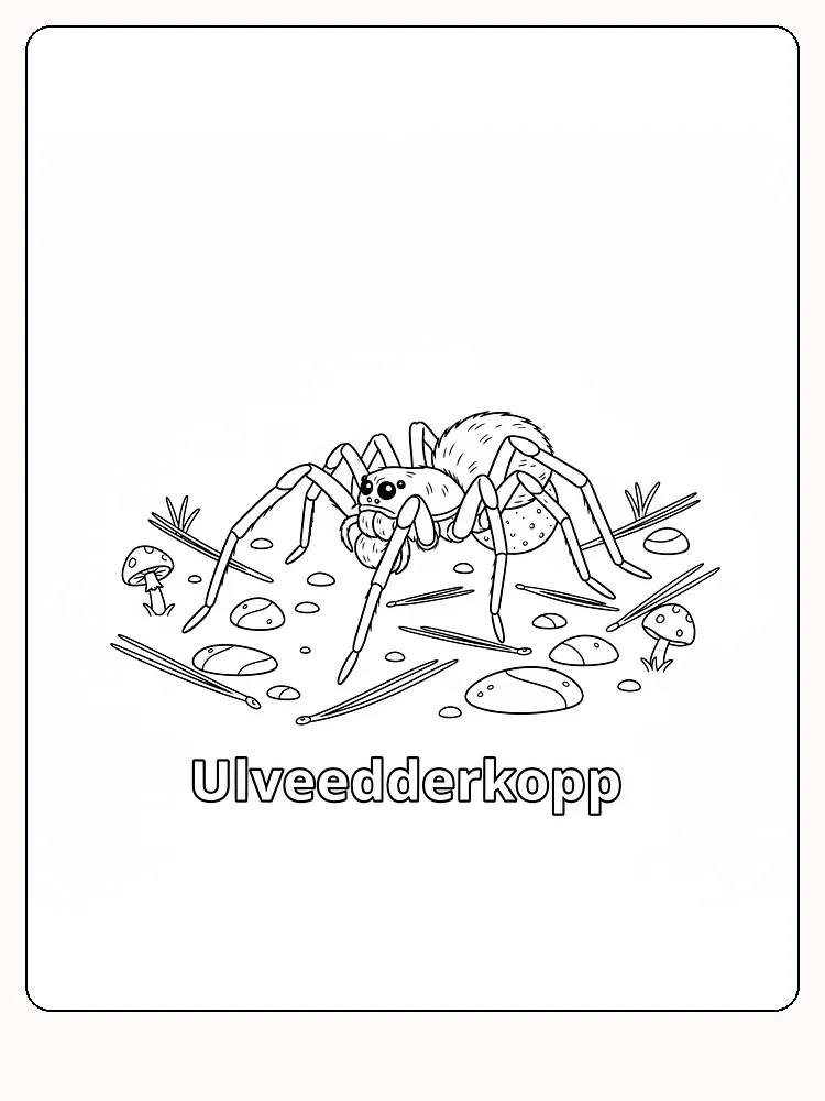 Tegning af ulveedderkop til farvelægning med detaljerede omgivelser