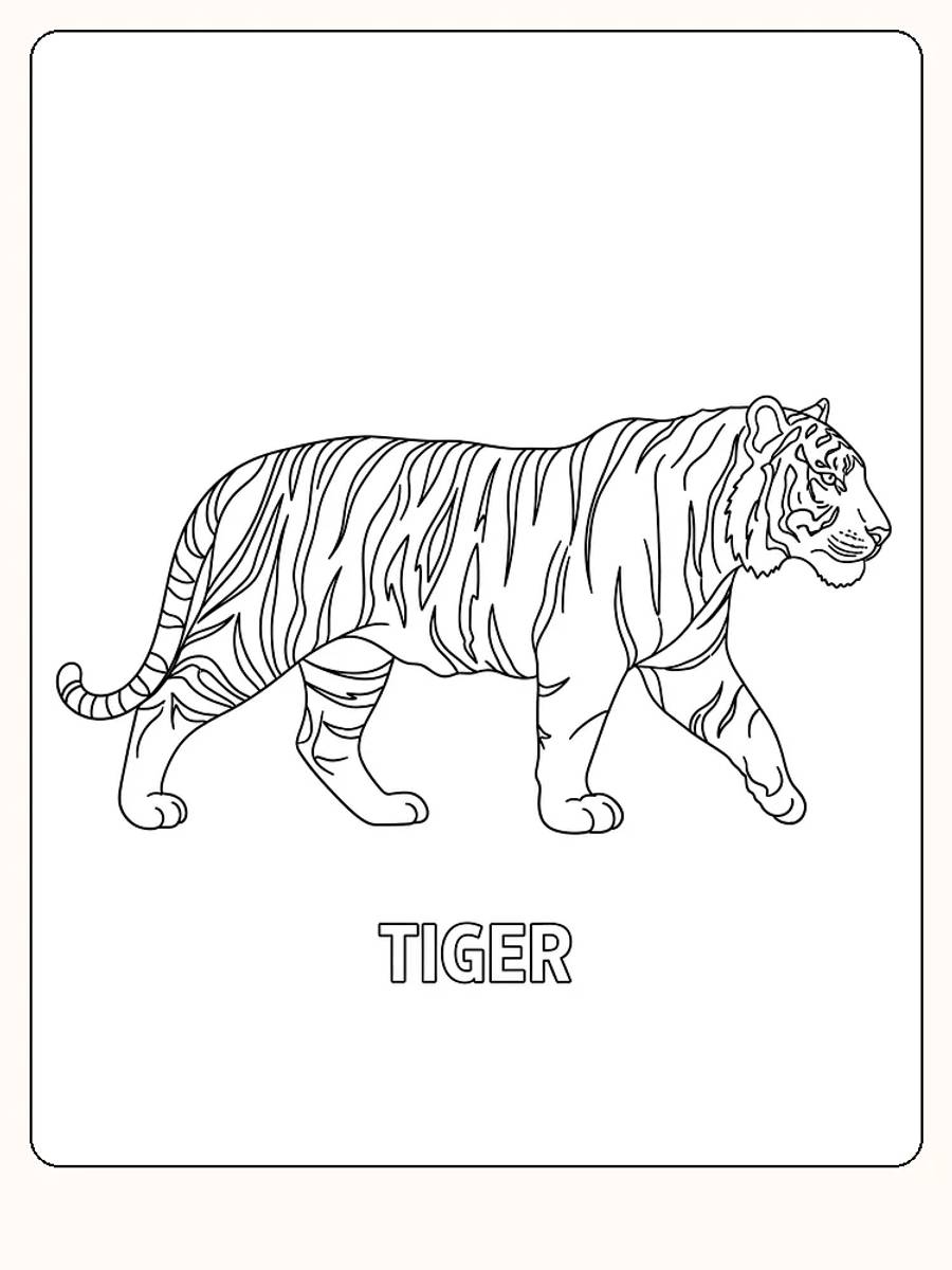 Tegning til farvelægning af en tiger, der går vandret, klar til print