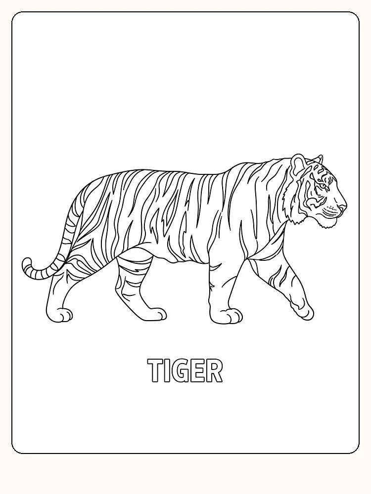 Tegning til farvelægning af en tiger, der går vandret, klar til print
