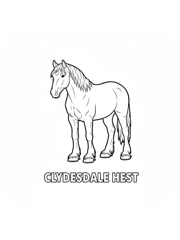 Clydesdale hest kontur, underkategori