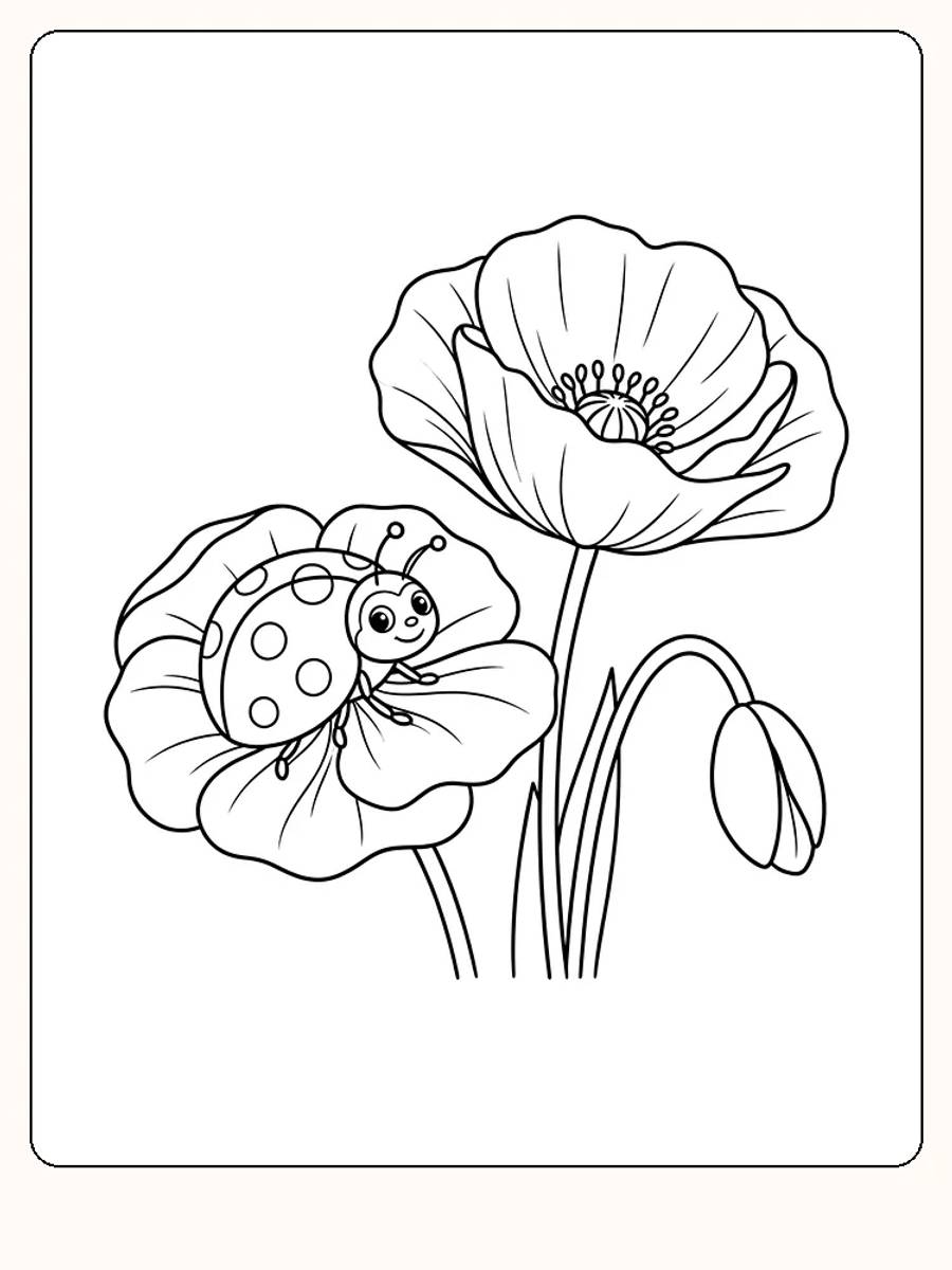 Smilende marihøne på kronbladene til en valmueblomst, med en større åpen blomst, en lukket knopp og grasblad