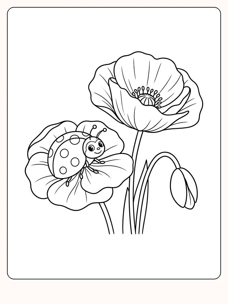 Smilende marihøne på kronbladene til en valmueblomst, med en større åpen blomst, en lukket knopp og grasblad