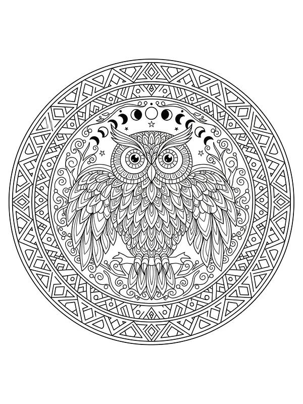 Detaljert mandala med ugle
