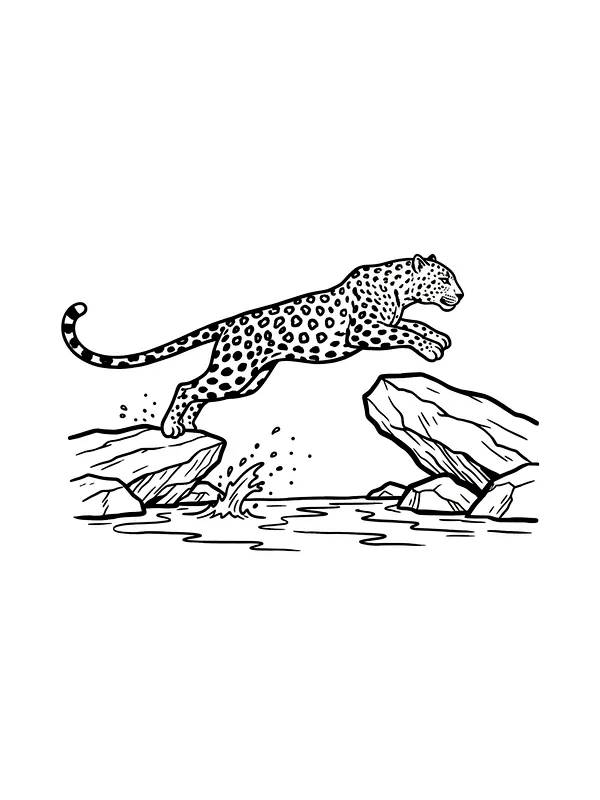 Leopard hopper over elv, underkategori