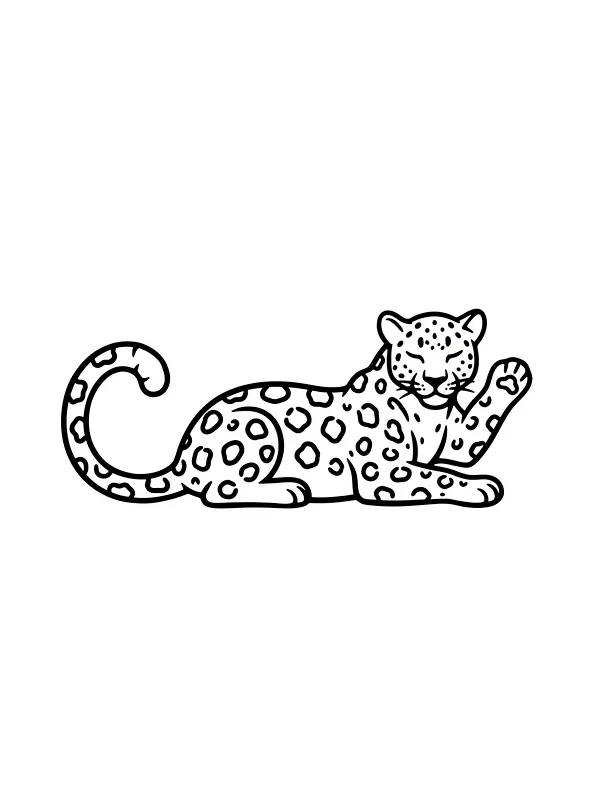Leopard med løftet pote, underkategori