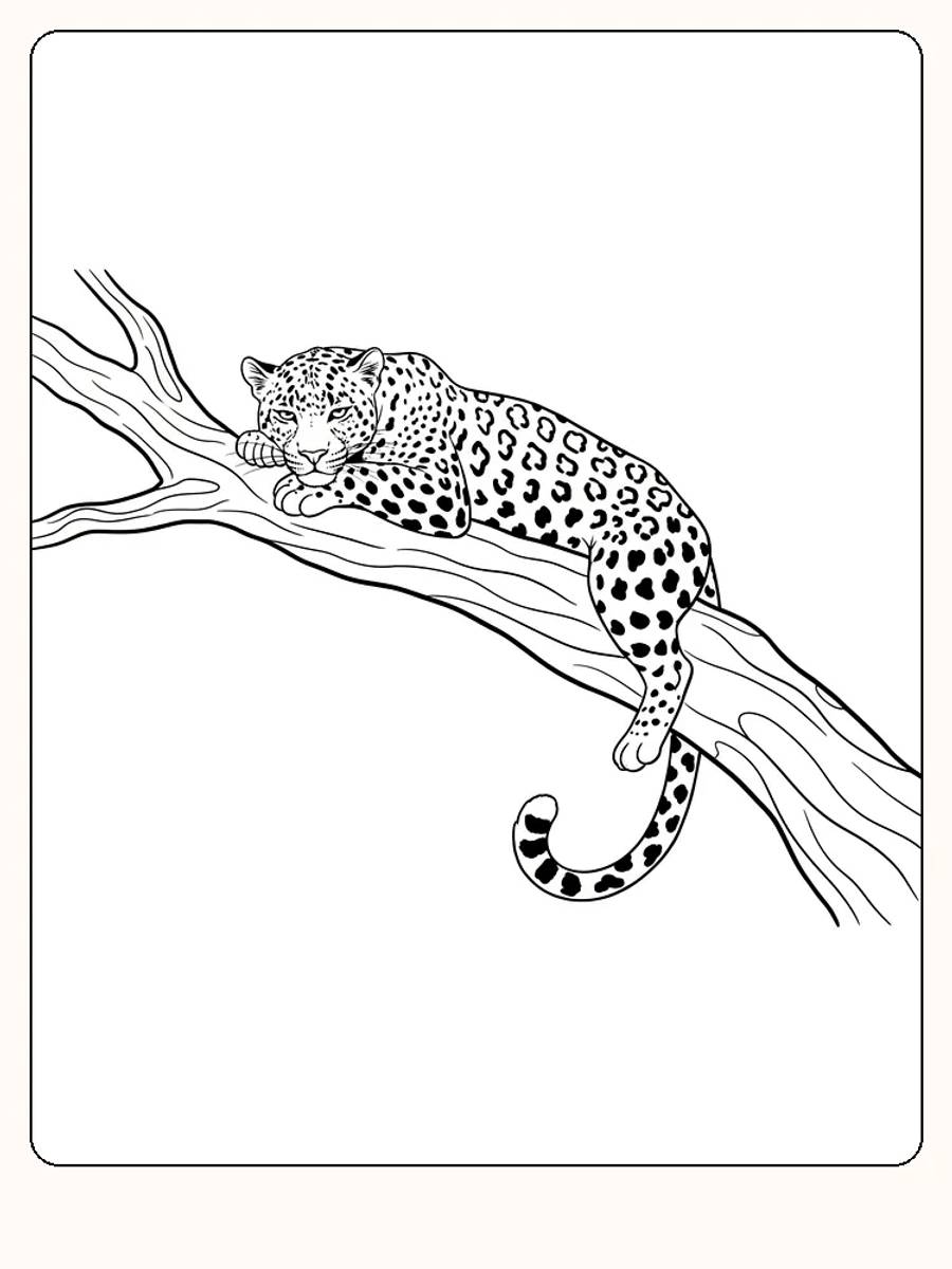 Fargeleggingsbilde av en leopard som hviler på en tregren, klart for nedlasting