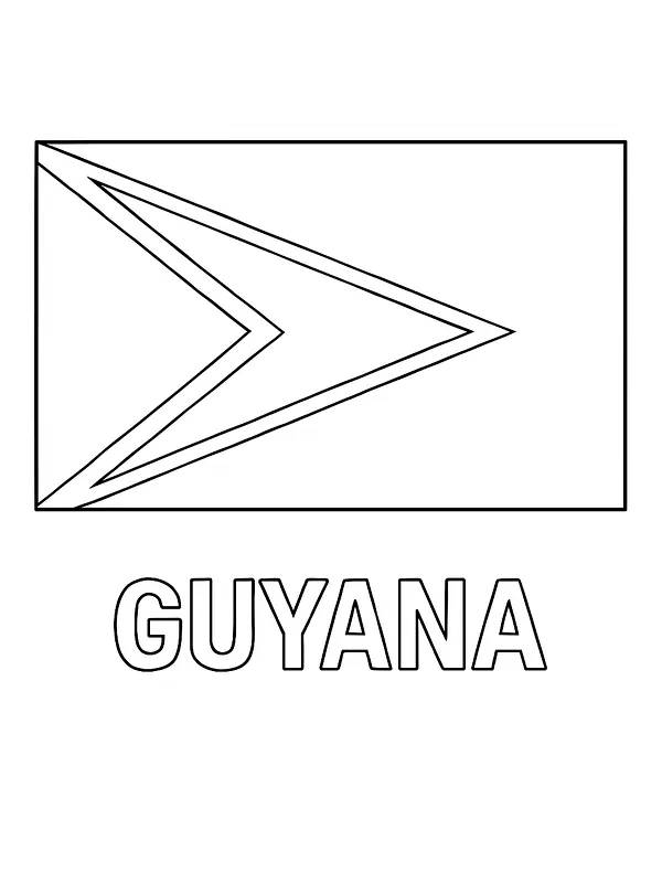 Guyanas Flagge, Unterkategorie