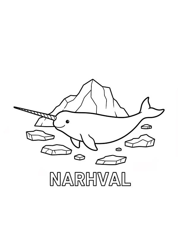 Narhval foran isfjell, underkategori