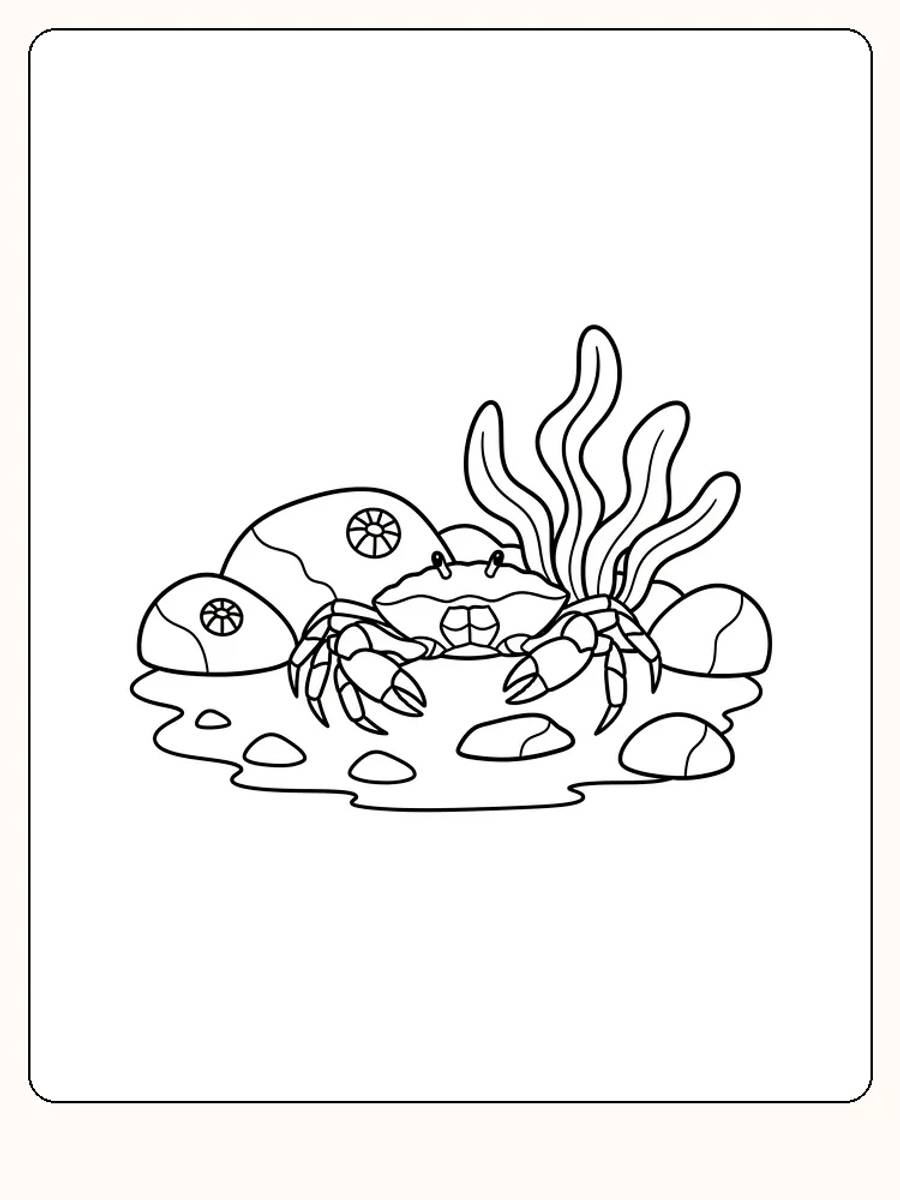 Tegning af krabbe med tang og sten til farvelægning, klar til print