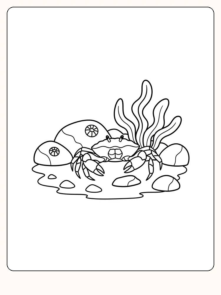 Tegning af krabbe med tang og sten til farvelægning, klar til print