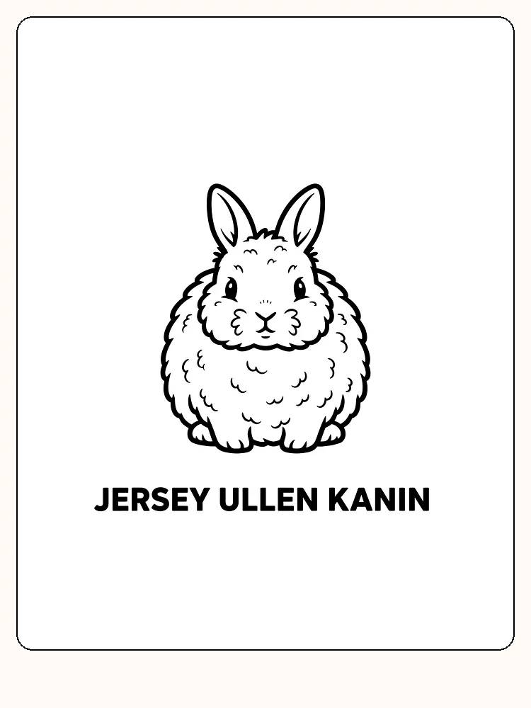 Fargeleggingstegning av en fluffy Jersey ullen kanin for utskrift