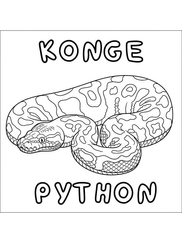 Kongepython med mønster, underkategori