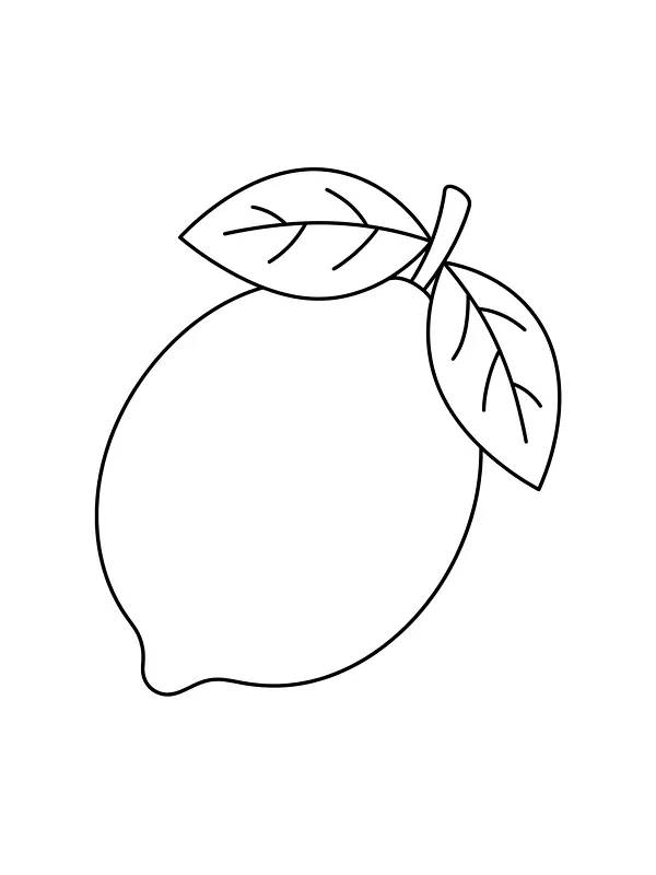 Frukten er en stor sitron med stilk og to blad