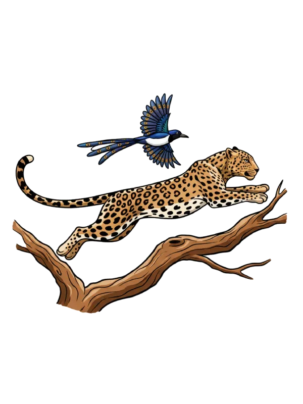 Leopard som hopper fra en gren, og en ørn som flyr like over.
