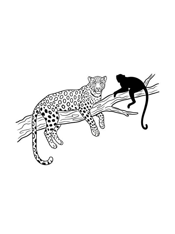 Leopard og ape i tre, underkategori