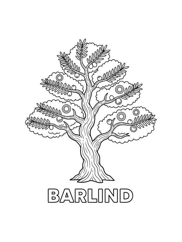 Barlind-tre med detaljerte blader