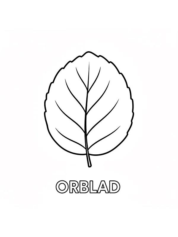 Orblad for fargelegging, underkategori
