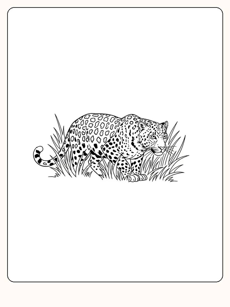 Fargeleggingstegning av en leopard som sniker seg gjennom gresset, klar for utskrift