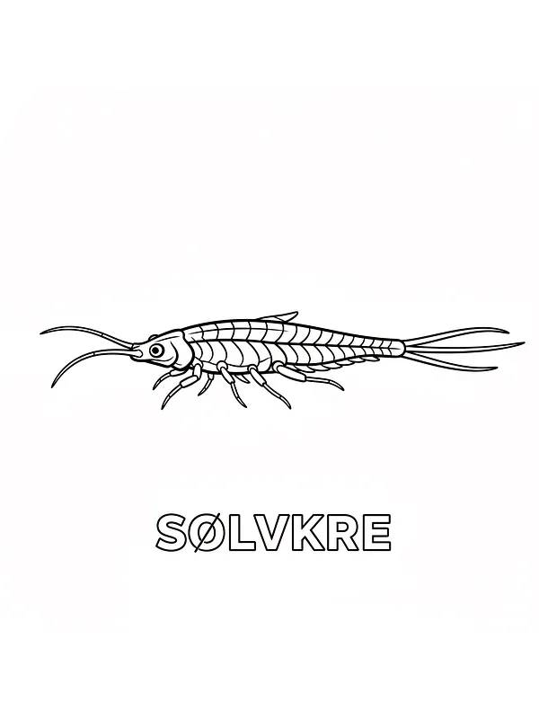 Sølvfisk med stor krop, underkategori