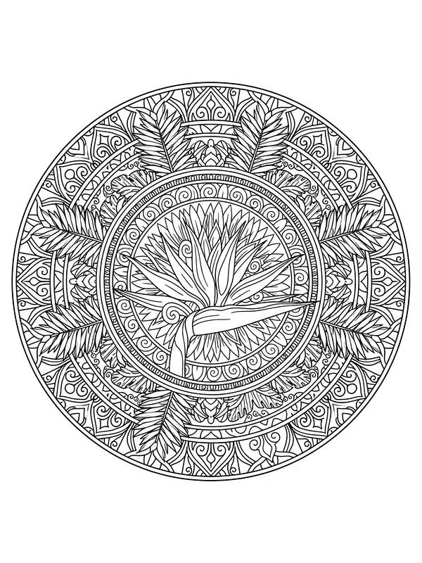 Mandala mit Vogel und Feder, Unterkategorie