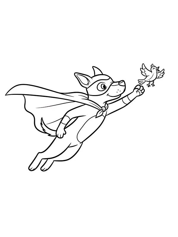 Superhund og flyvende fugl, underkategori