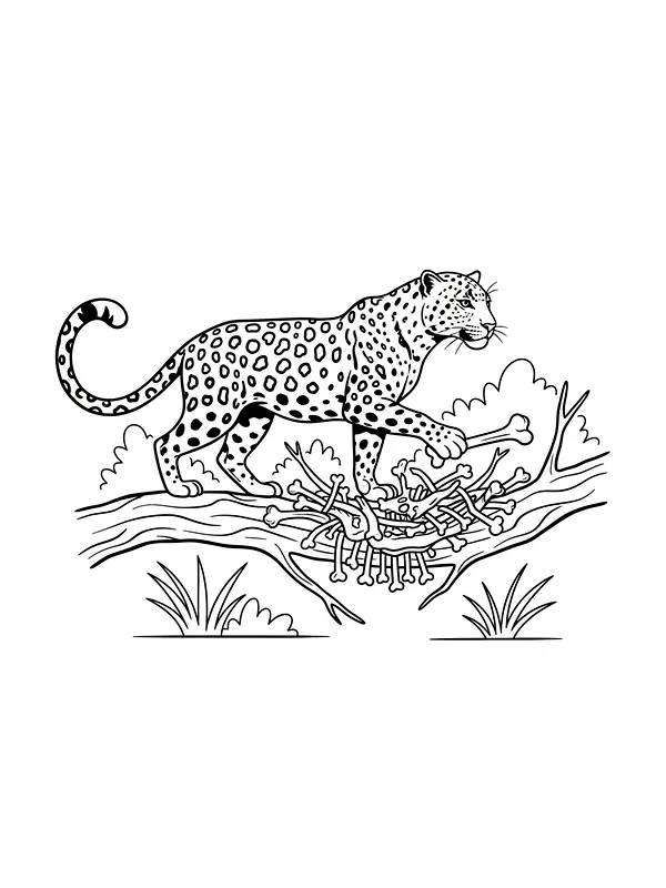 Gepard klatrer på tregren, underkategori