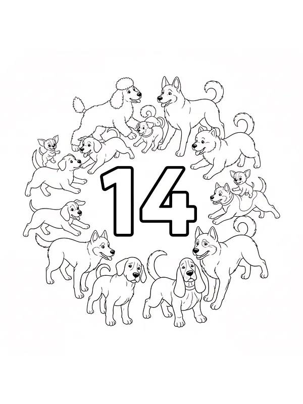 Mehrere Hunde um die Zahl 14, Unterkategorie