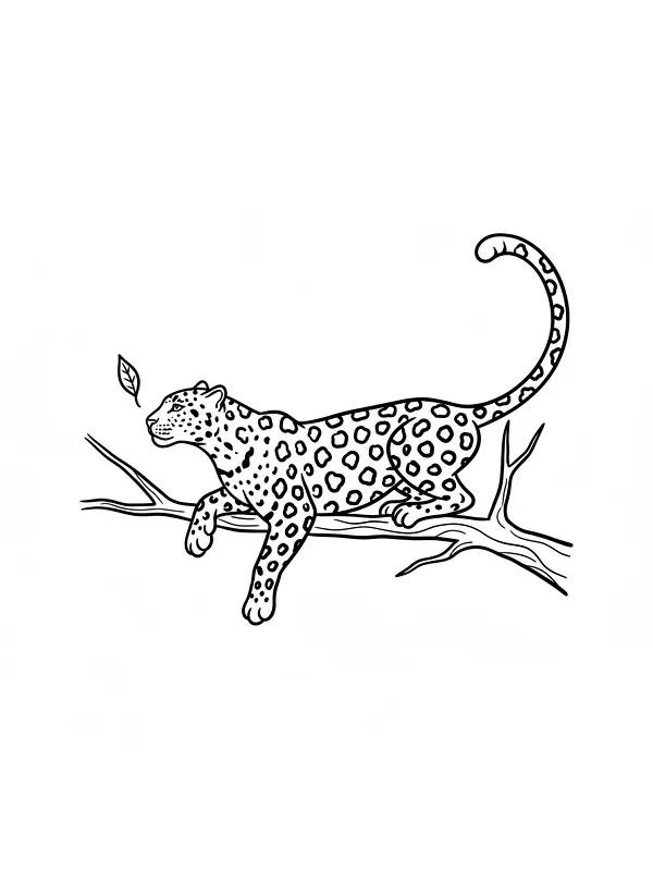 Leopard liggende på trestamme, underkategori