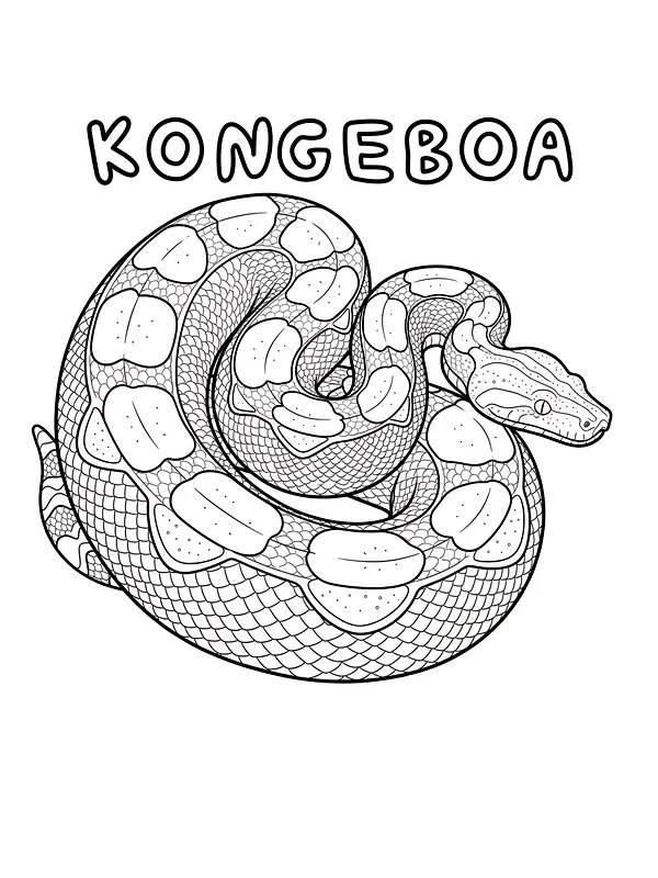 Kongeboa klar til farvelægning, underkategori