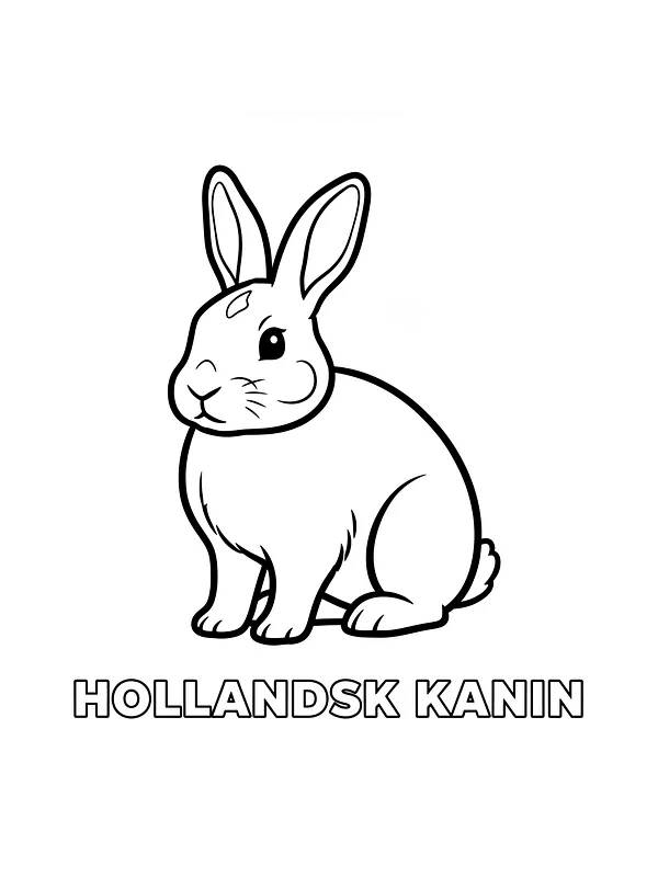 Hollandsk kanin som smiler