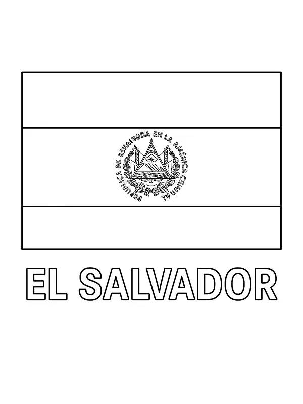 Flagge von El Salvador, Unterkategorie