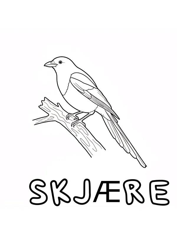 Skjære på gren, underkategori