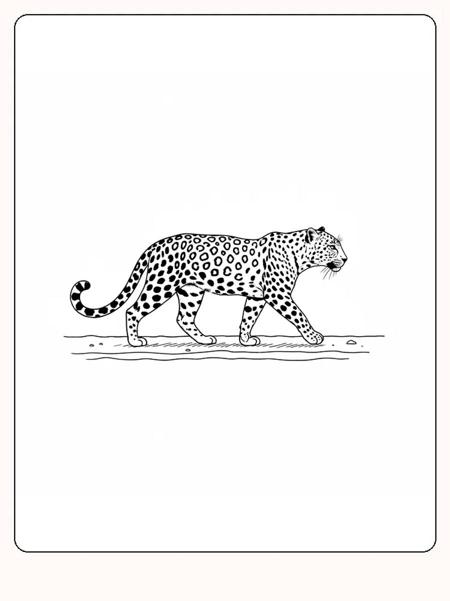 Fargeleggingsbilde av leopard i profil, gående på bakken