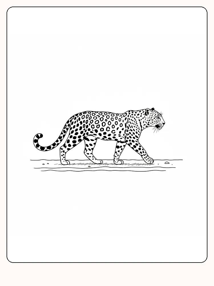 Fargeleggingsbilde av leopard i profil, gående på bakken