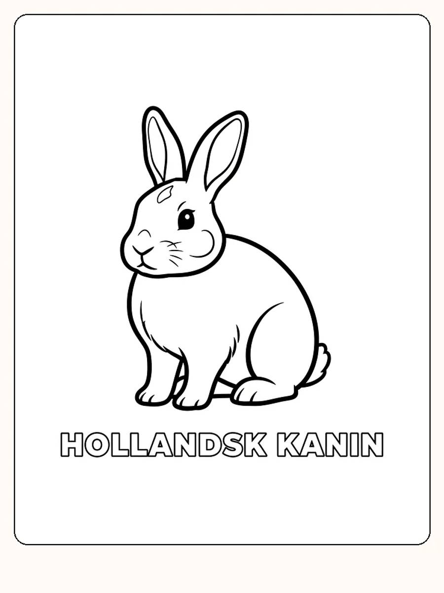 Fargeleggingstegning av en hollandsk kanin som sitter og smiler, klar til utskrift