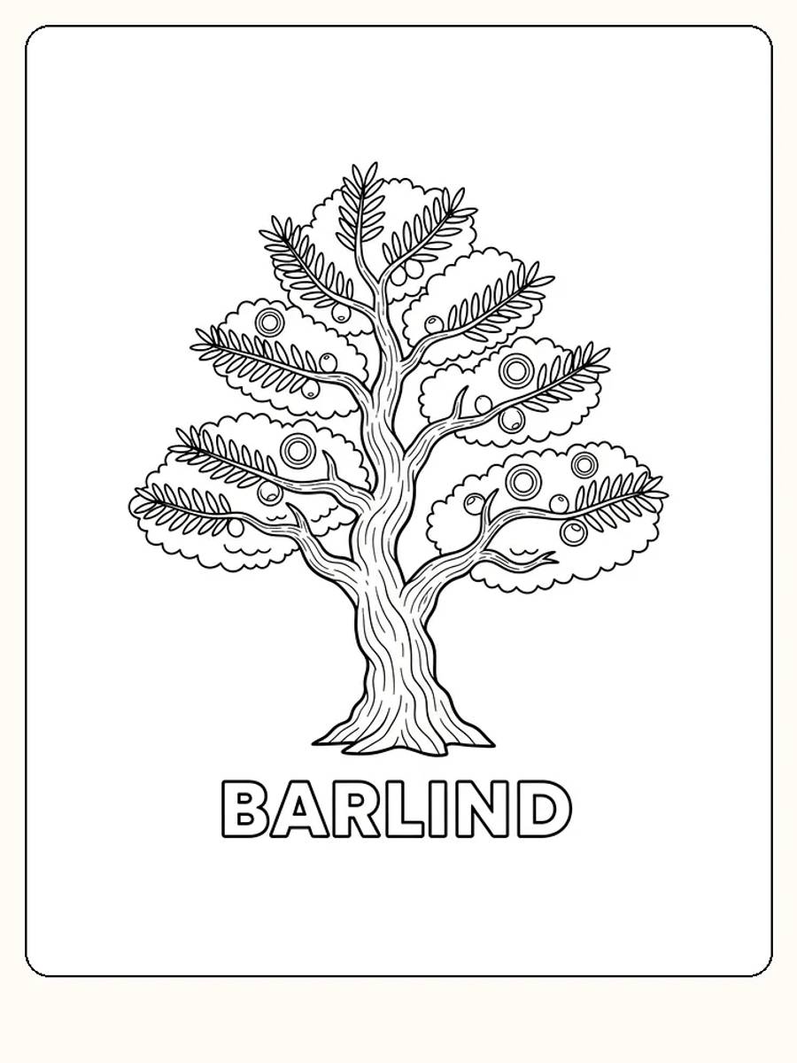 Fargeleggingsbilde av et barlind-tre med detaljerte blader og bær, klar til utskrift